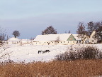image/_sibjerggaard-633.jpg