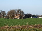 image/_svanholmgaard-47.jpg