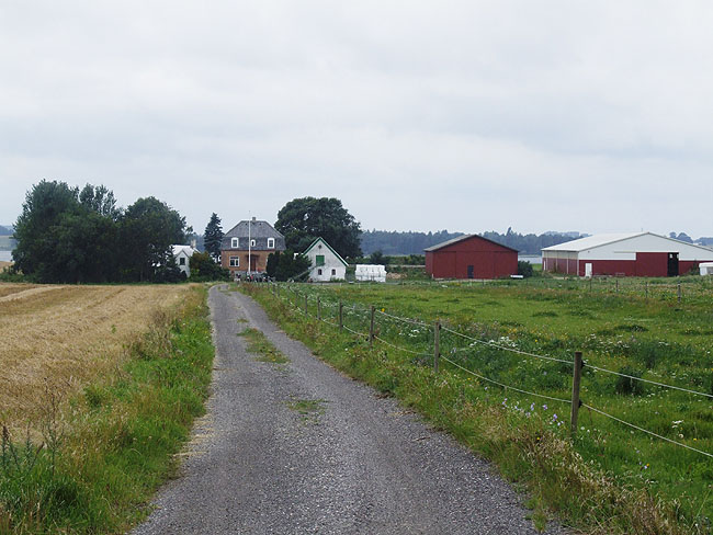 image/store_faergedal-14.jpg