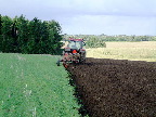 image/_efteraarsploejning-45.jpg