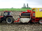 image/_kartoffeloptagning-23.jpg