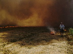 image/_markafbraending-14.jpg
