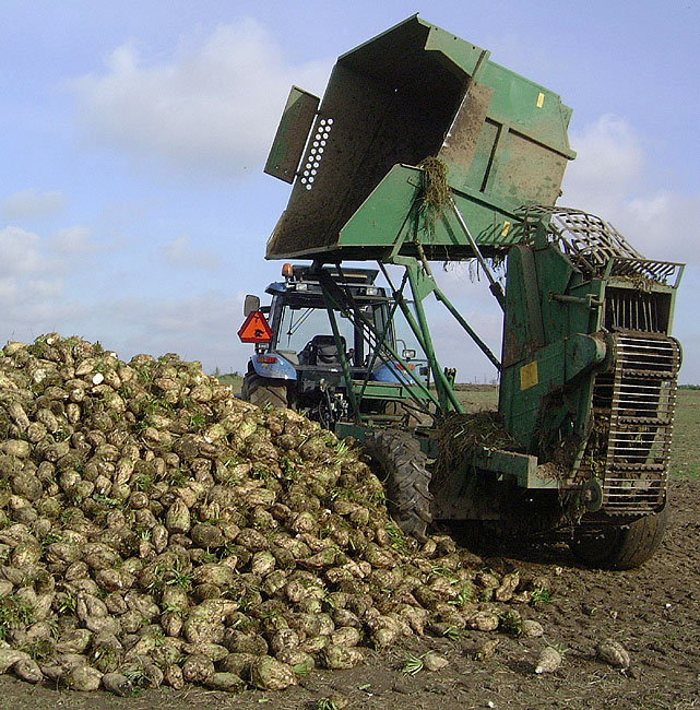 image/aflaesning_roer-51.jpg