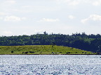 image/_koeer_eskilsoe-962.jpg