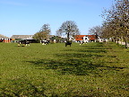 image/_malkekoeer-984.jpg