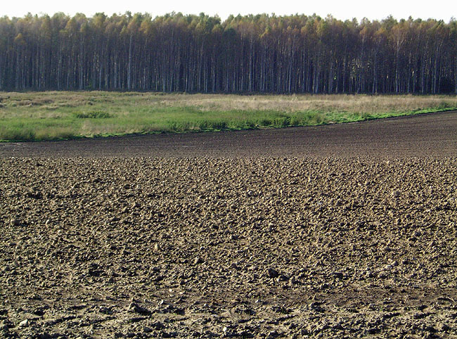 image/marker_landskab-35.jpg