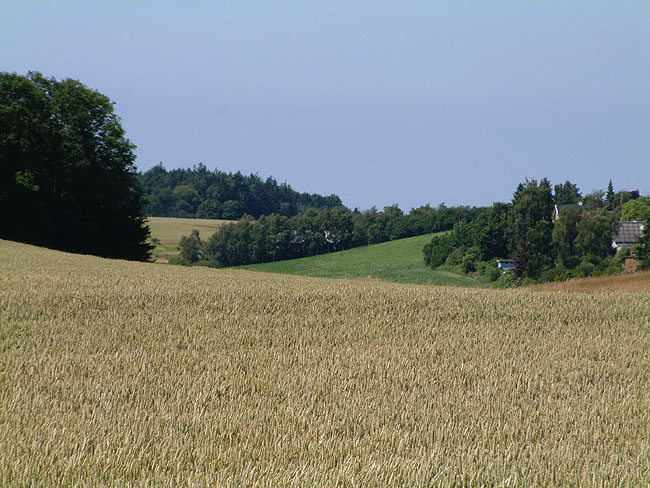 image/marker_landskab-71.jpg
