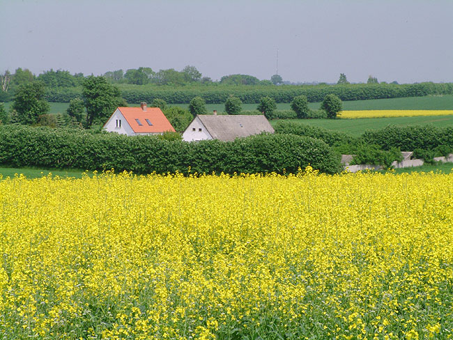 image/marker_landskab-88.jpg