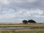 image/_eskilsoe-50.jpg