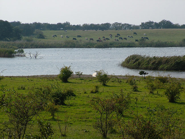 image/eskilsoe-11.jpg