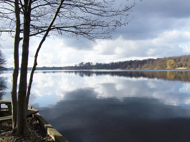 image/farum_soe-95.jpg