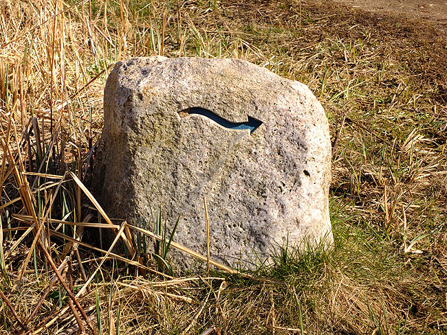 image/farum_soe_stien-710.jpg