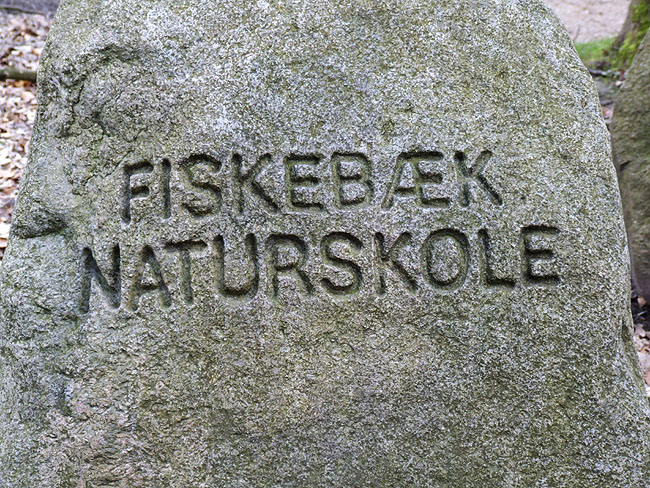 image/fiskebaek_naturskole-98.jpg