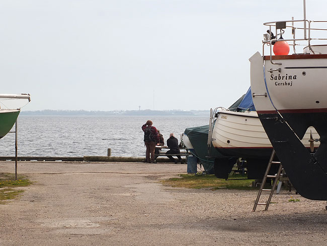 image/gershoej_havn-8406.jpg