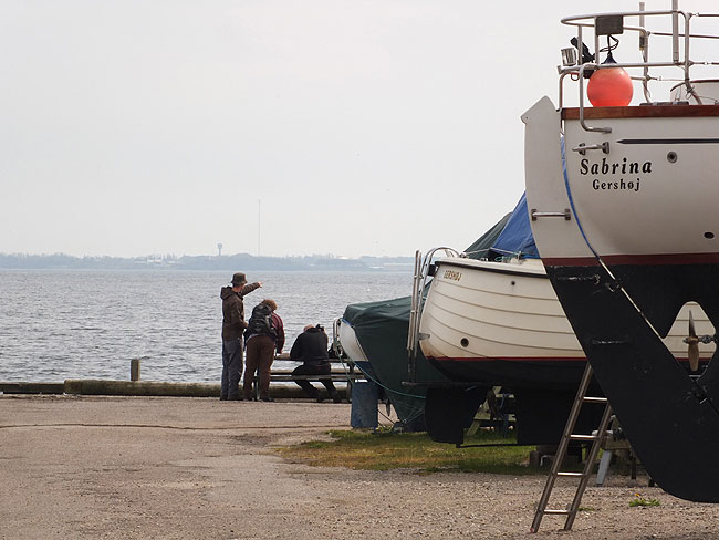 image/gershoej_havn-8408.jpg