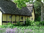 image/_gundsoemagle-48.jpg