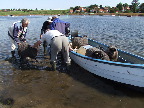 image/_sejle_faar-78.jpg