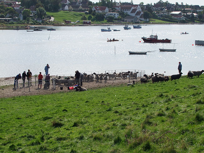 image/faarelauget-22.jpg