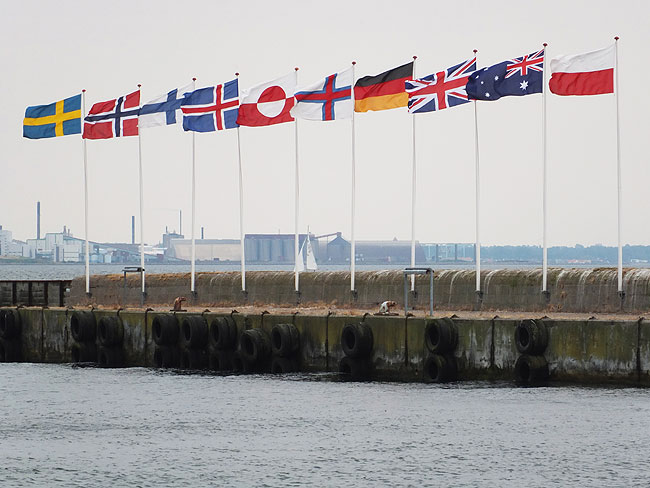 image/flag-1342.jpg