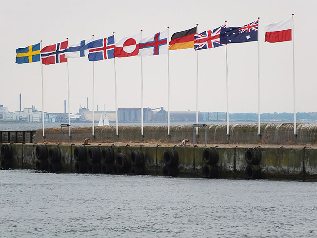 image/flag-1343.jpg