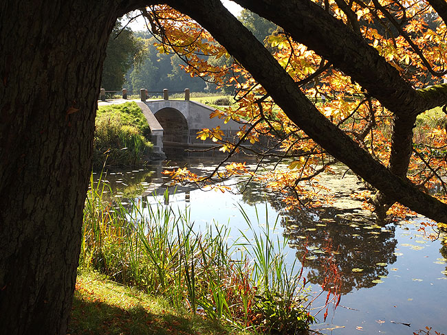 image/hoersholm-3286.jpg