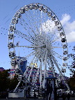 image/_copenhagen_wheel-768.jpg
