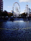 image/_copenhagen_wheel-775.jpg