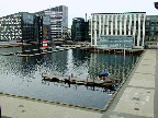 image/_kalvebod_brygge-702.jpg