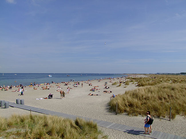 image/amager_strandpark-632.jpg