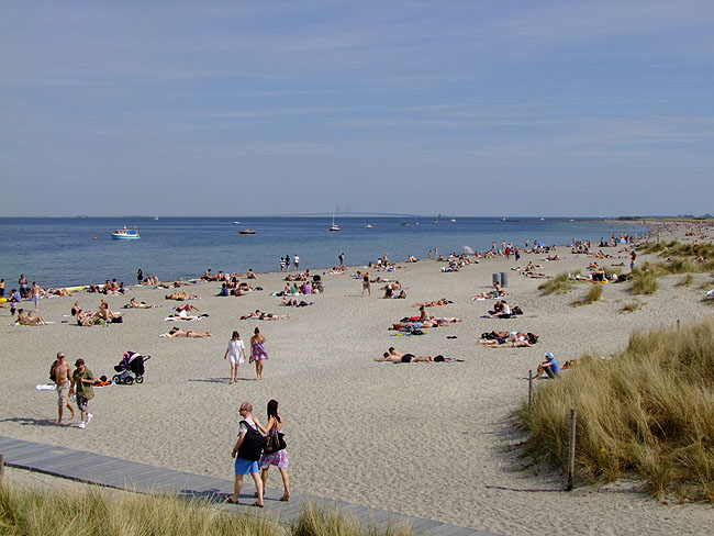 image/amager_strandpark-633.jpg