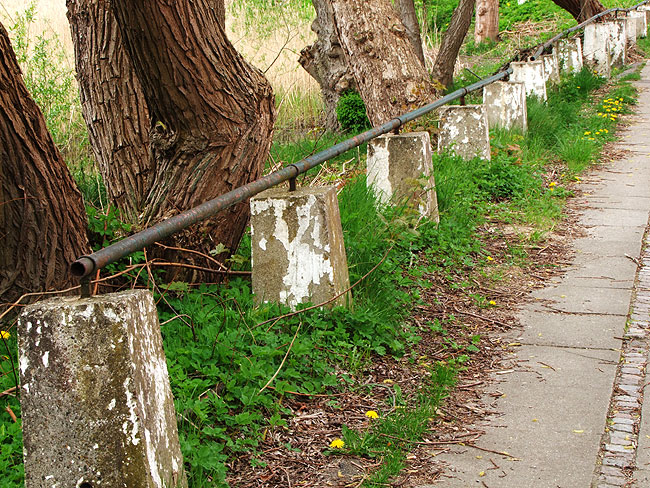 image/oerholm-198.jpg