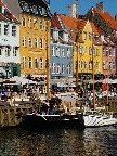 image/_paereskuder_nyhavn-82.jpg
