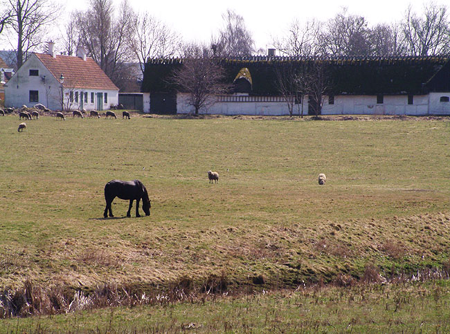 image/idyl_pederstrup-27.jpg