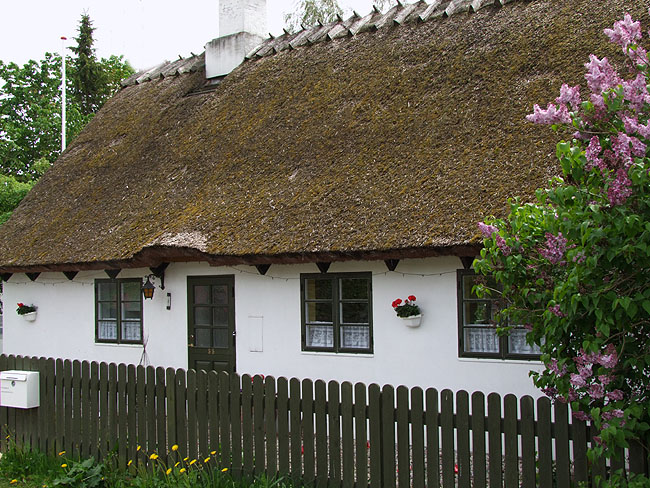 image/pederstrup-508.jpg