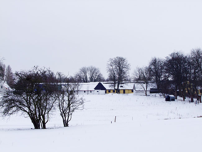 image/pederstrup-54.jpg