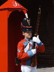 image/_roskilde_garden-35.jpg