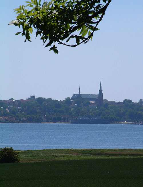 image/roskilde-13.jpg