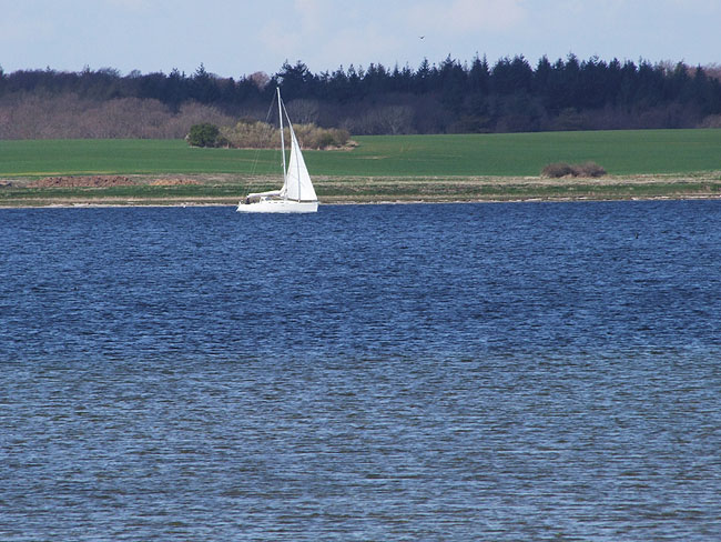 image/roskilde-19.jpg