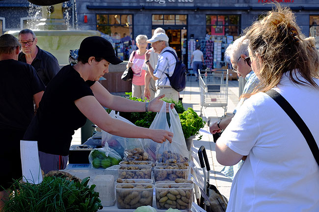 image/torvedag_roskilde-3729.jpg
