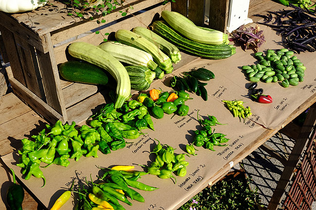 image/torvedag_roskilde-3735.jpg