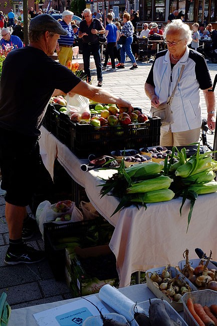 image/torvedag_roskilde-3761.jpg