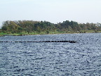 image/_roskilde_fjord-011.jpg