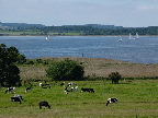 image/_roskilde_fjord-066.jpg