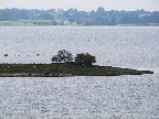 image/_roskilde_fjord-1554.jpg