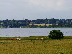 image/_roskilde_fjord-604.jpg