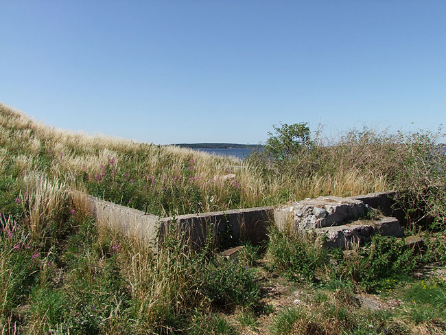 image/koelholm-64.jpg