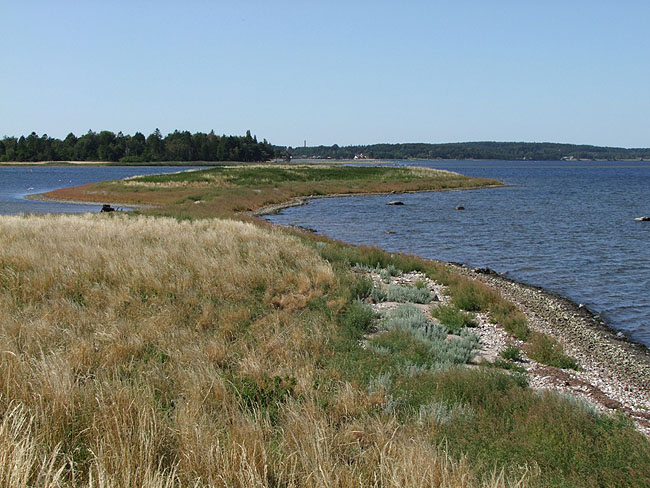image/koelholm-82.jpg