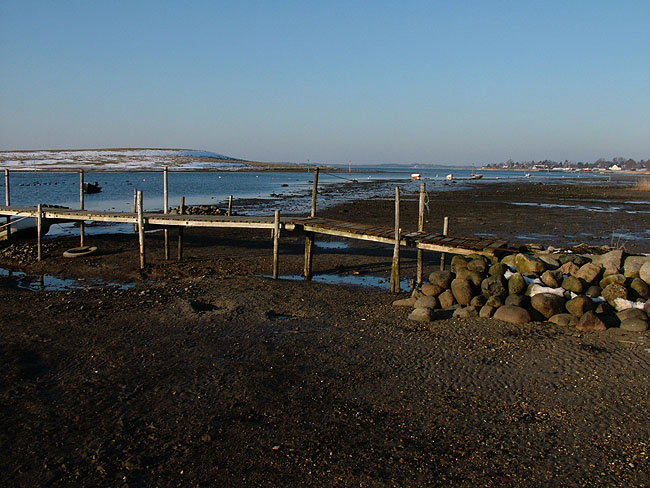 image/lavvande_i_fjorden-02.jpg