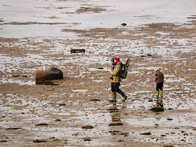image/lavvande_i_fjorden-7553.jpg