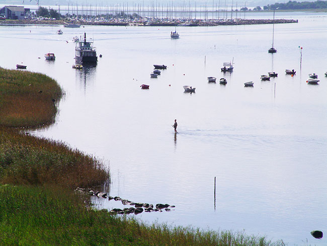 image/roskilde_fjord-002.jpg